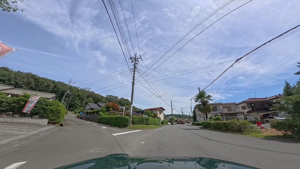 日高市 カワセミ街道